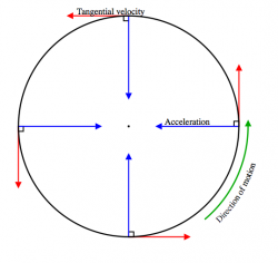 For an object to follow a circular motion, there must be a centripetal force causing a centripetal acceleration. At all times, the tangential velocity remains constant and points along the circle.